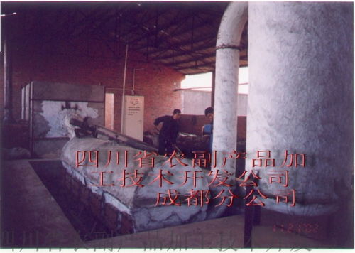 四川省農副產品加工技術開發公司成都分公司 豌豆淀粉渣烘干設備的技術開發與應用